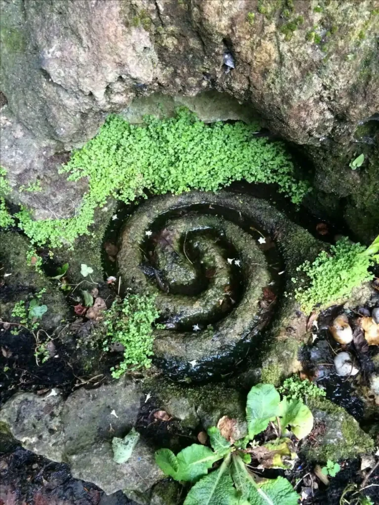 Theta Healing Cloes Heilkorb